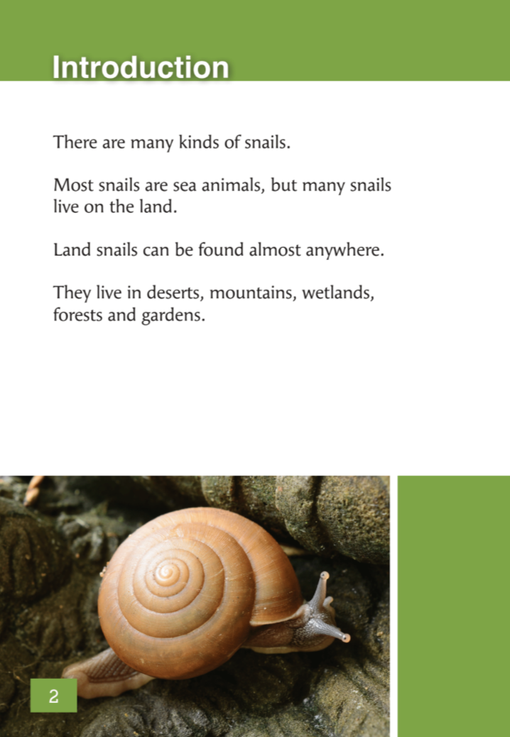 Amazing Snails book by Emily Wood