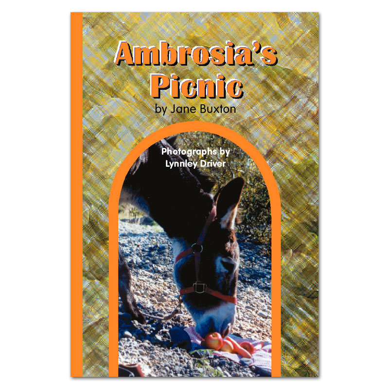 Ambrosia’s Picnic book by Jane Buxton