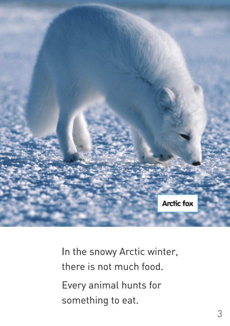 Arctic Hunters book by John Holborn
