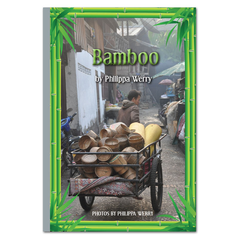 Bamboo book by Philippa Werry