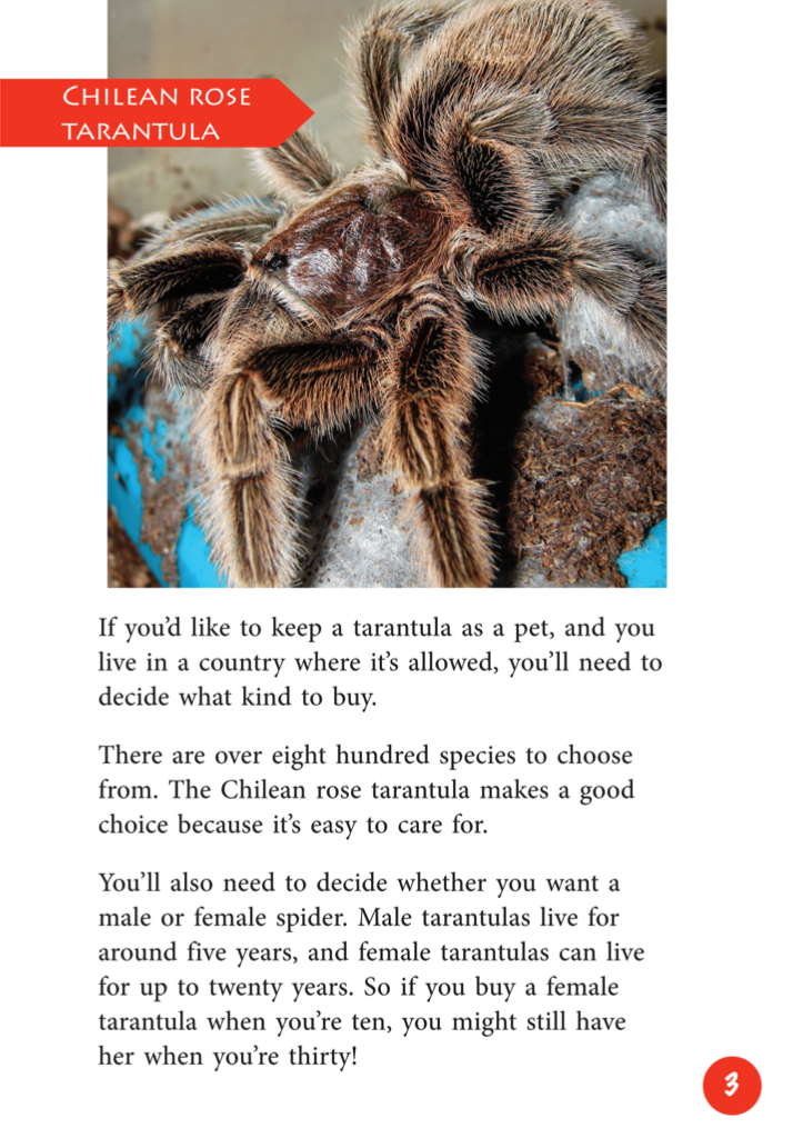 Caring for Tarantulas book by Janice Marriott