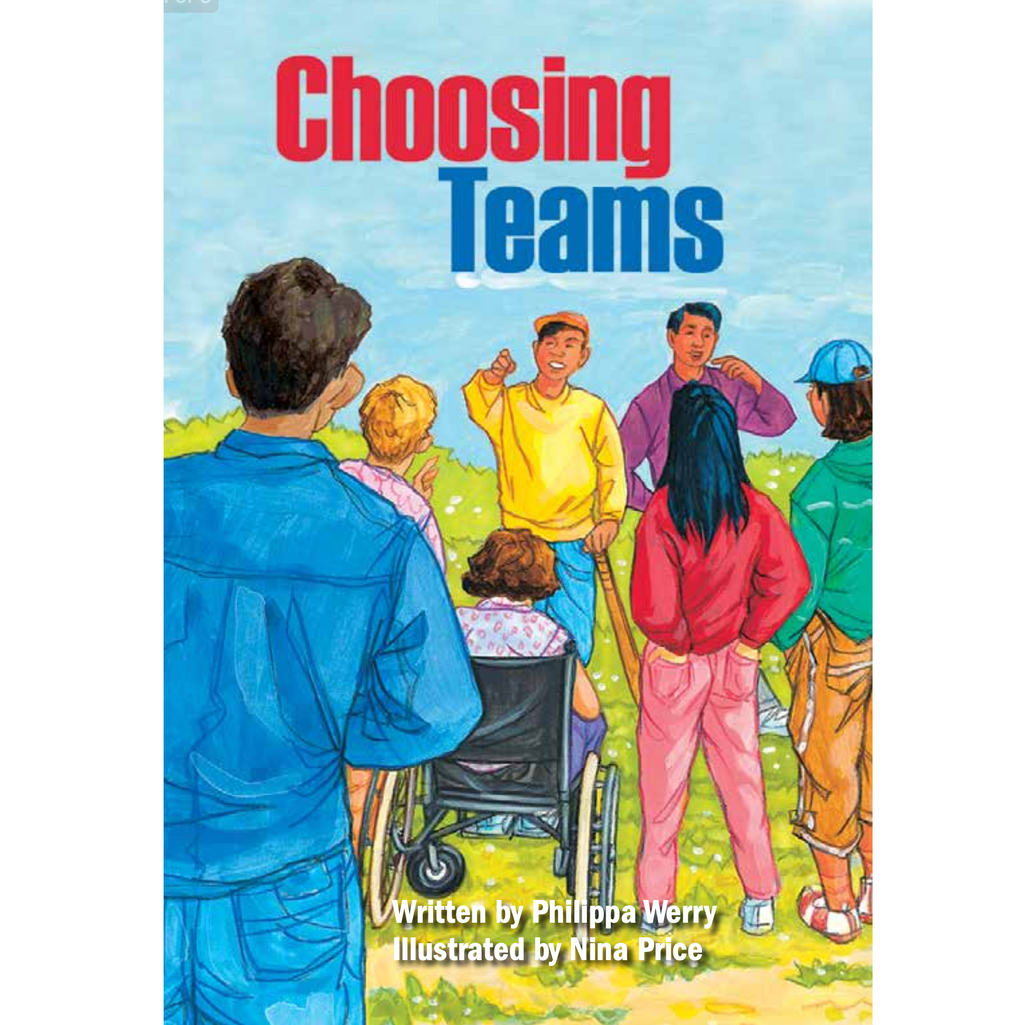 Choosing Teams book by Philippa Werry