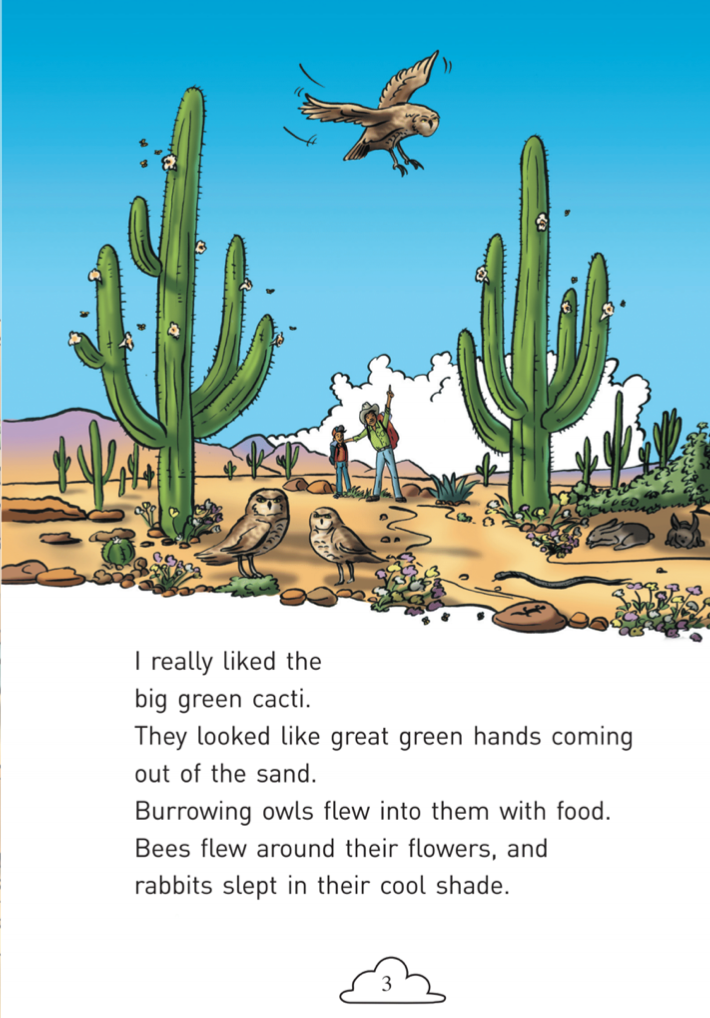 Hiking in Desert book by Eduardo Medina