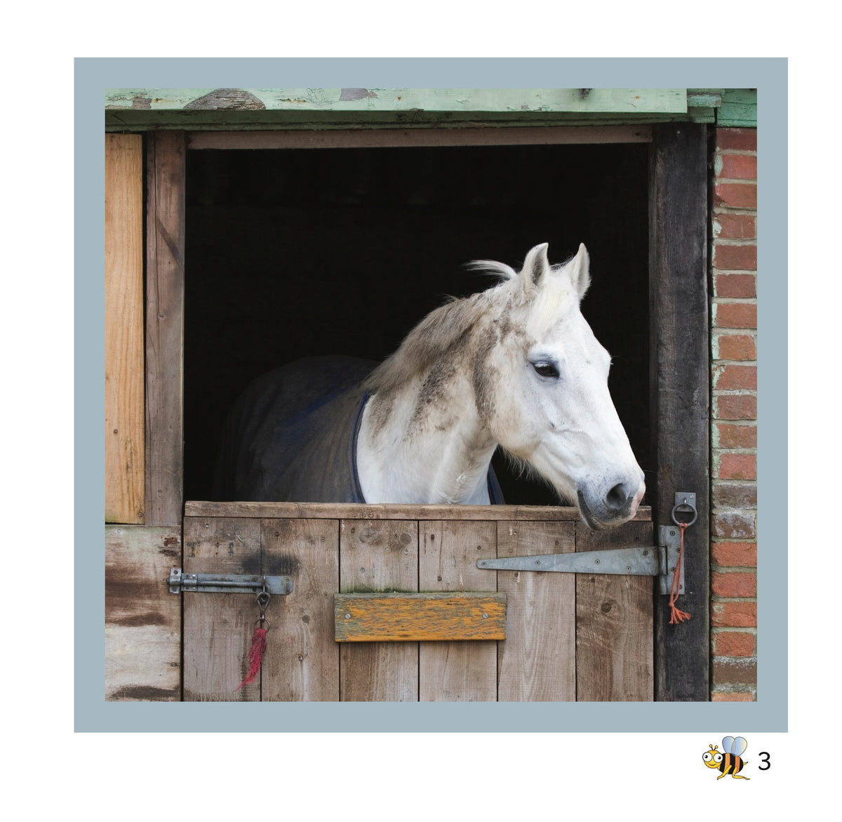 Homes book | Bee Series (word by word)