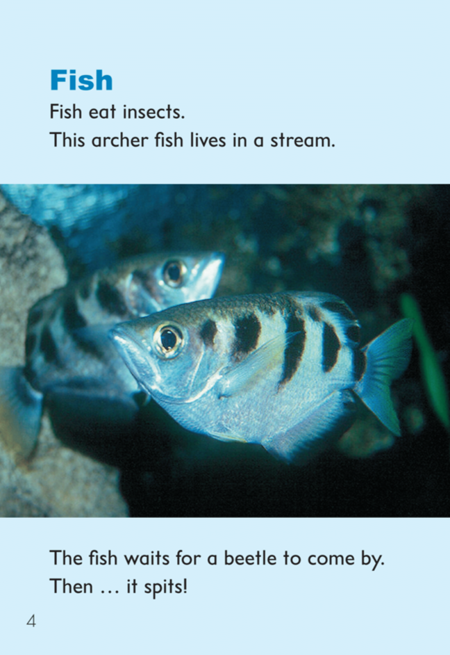 Insect Eaters book by Carla Rosen