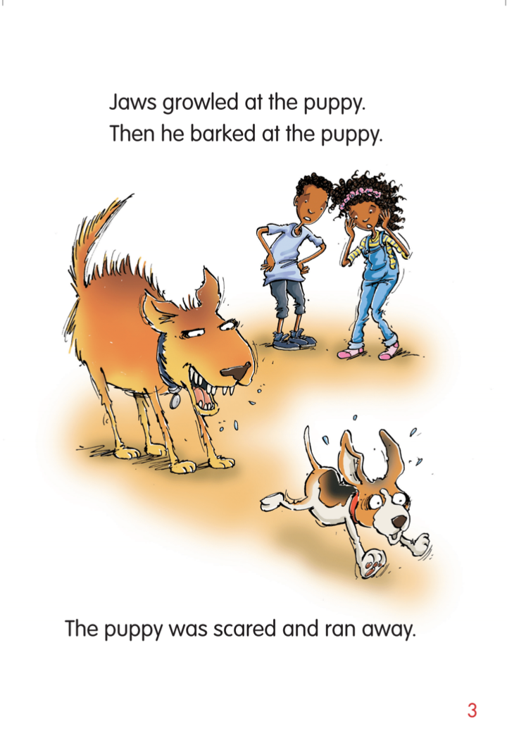 Jaws and the Puppy book by Kerrie Shanahan