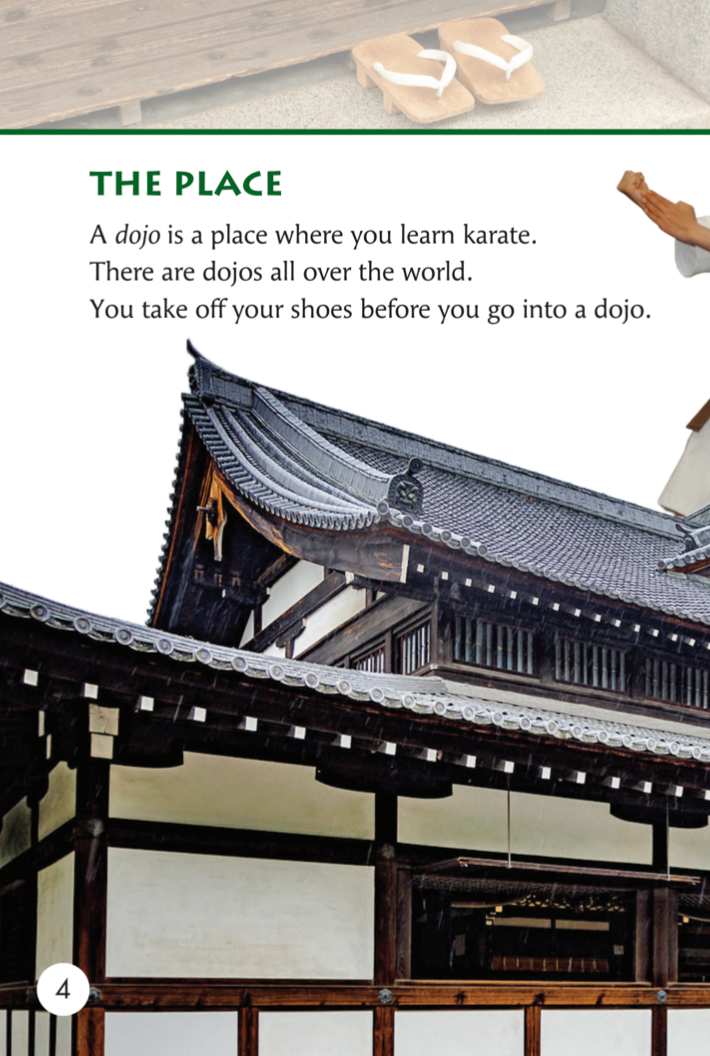 Karate book by Fiona Parker
