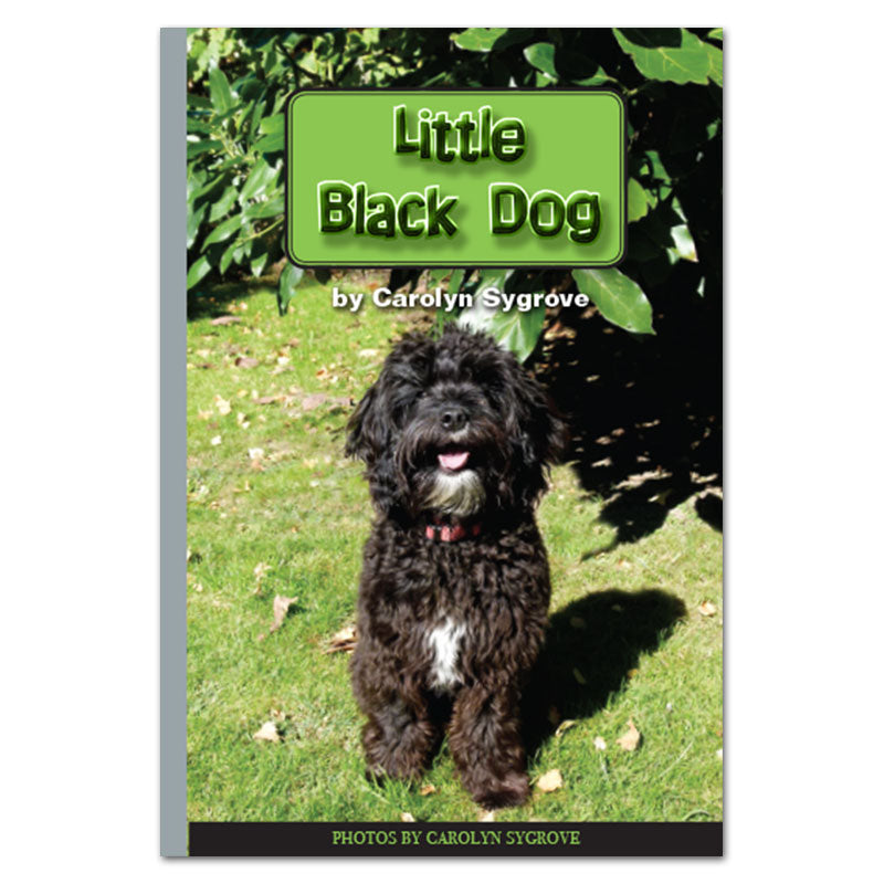 Little Black Dog book by Carolyn Sygrove