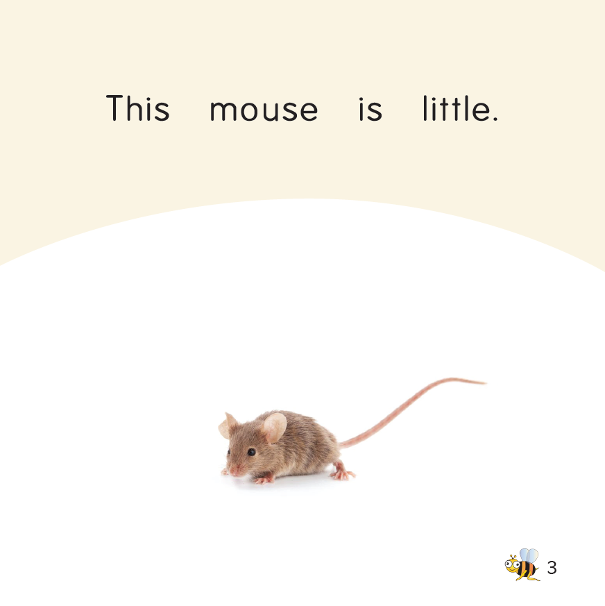 Big and Little book | Bee Series (word by word)