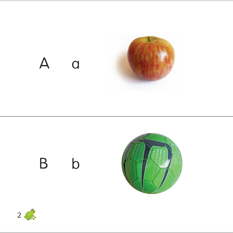 My Alphabet Book (letter by letter)