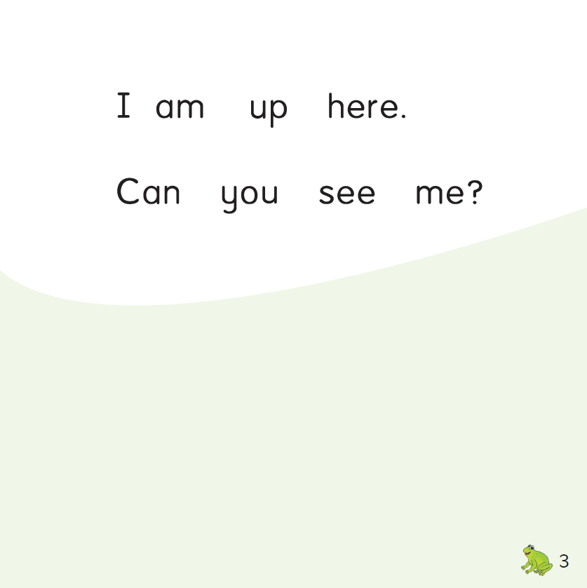 Up and Down book | Frog series (word by word)