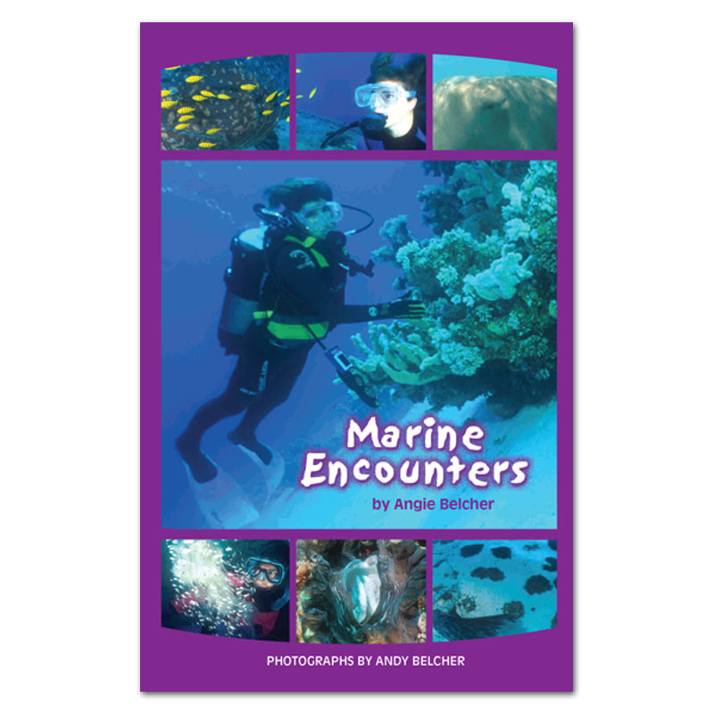 Marine Encounters by book Angie Belcher