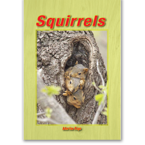 Squirrels book by Marion Rego