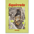 Squirrels book by Marion Rego
