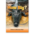 How Big book by Meryl-Lynn Pluck
