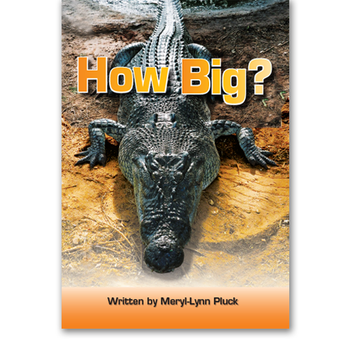 How Big book by Meryl-Lynn Pluck