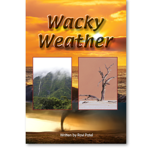 Wacky Weather book by Ravi Patel