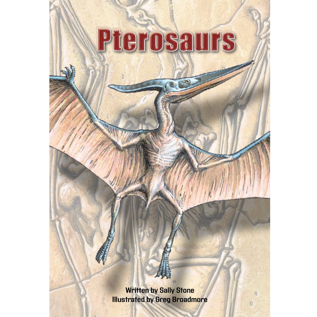Pterosaurs book by Sally Stone