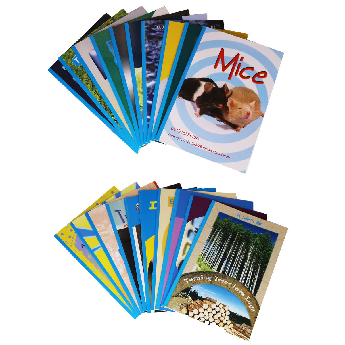 Struggling Readers at equiv. Reading Level in Age: 10-11yrs