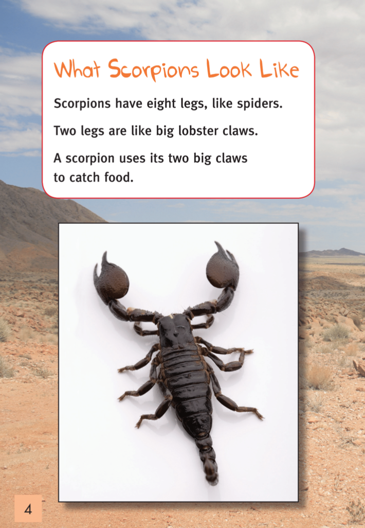Scorpions book by Patricia Almada