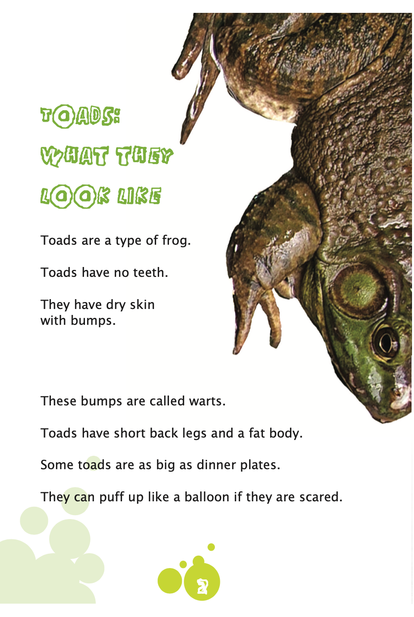 Terrible Toads book by Carol Krueger
