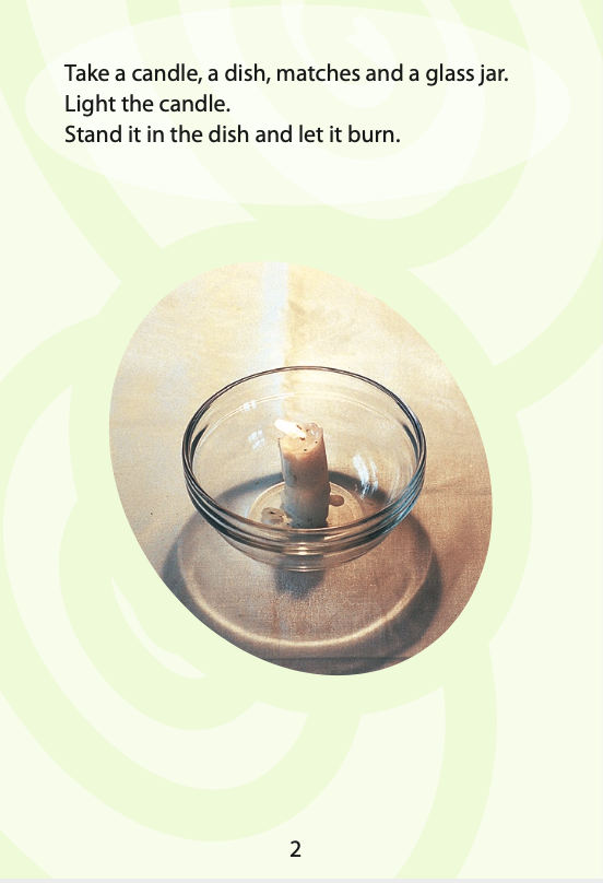 Put Out That Fire book by Diane Foley
