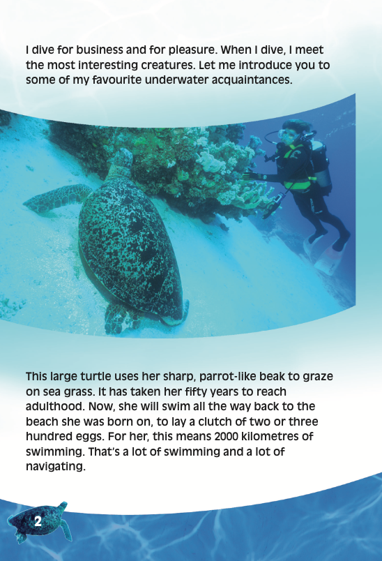 Marine Encounters by book Angie Belcher