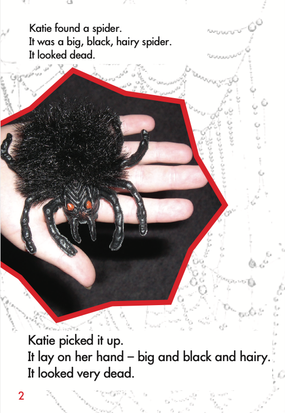 Big, Black, Hairy Spider book by Midge Janssen