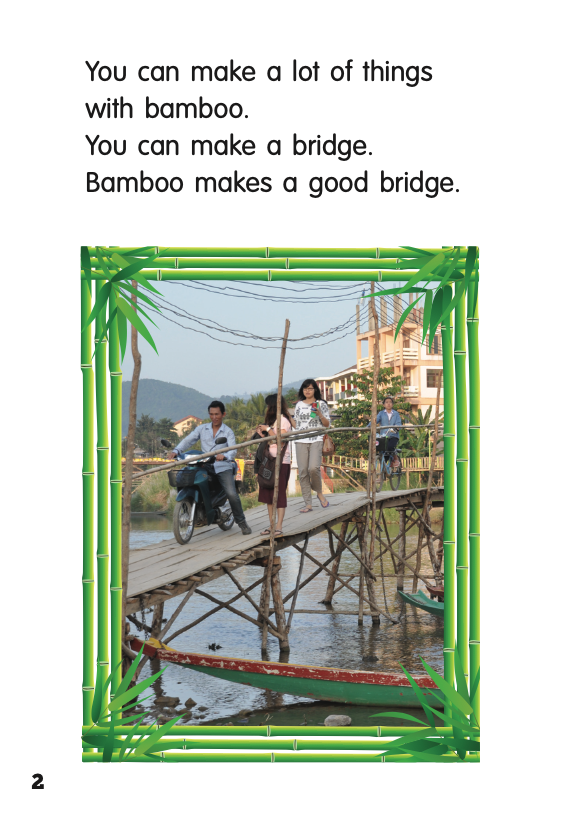 Bamboo book by Philippa Werry