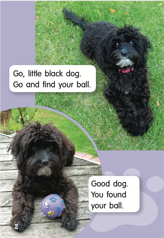Little Black Dog book by Carolyn Sygrove