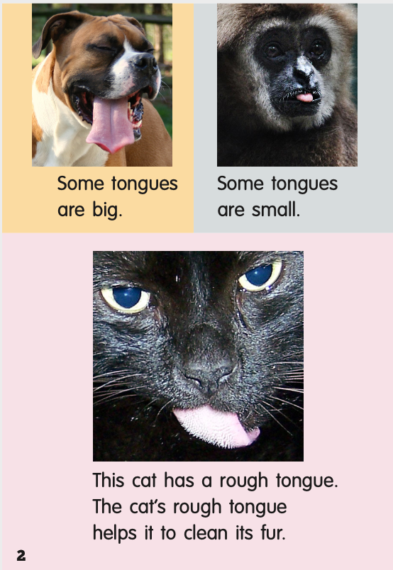 Tongues book by Carol Krueger