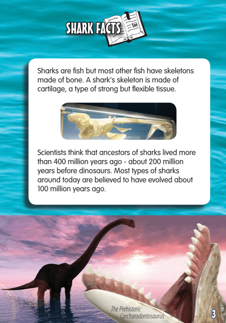 Sharks book by Carol Krueger
