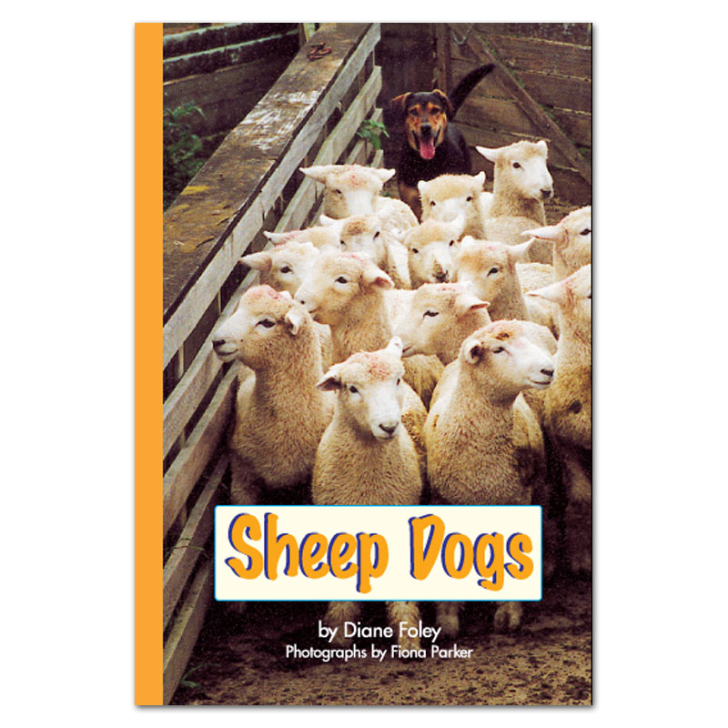 Sheep Dogs book by Diane Foley