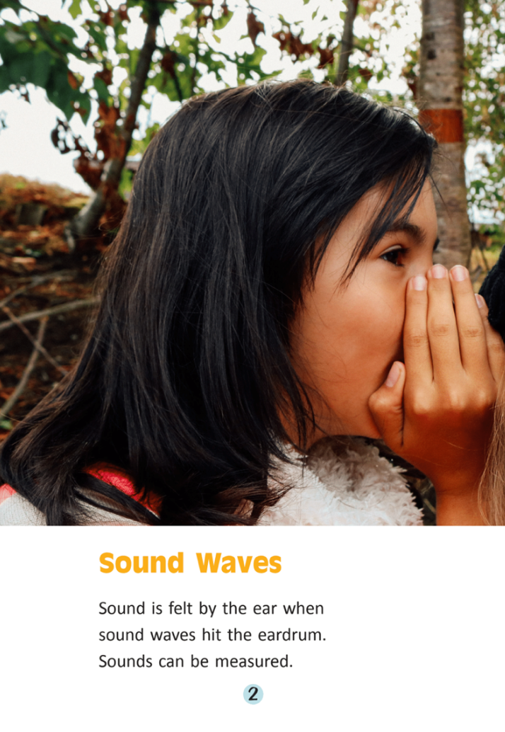 Sounds All Around book by Diana Menefy