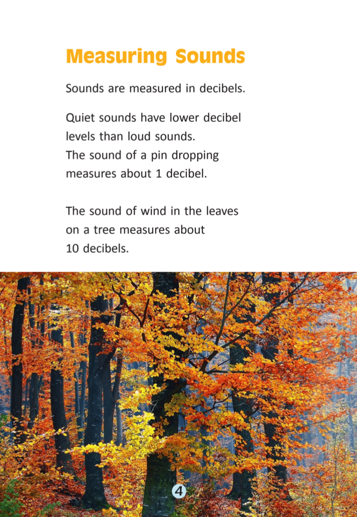 Sounds All Around book by Diana Menefy