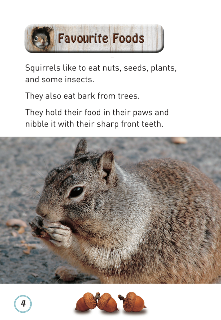 Squirrels book by Marion Rego