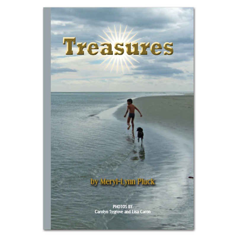 Treasures book by Meryl-Lynn Pluck