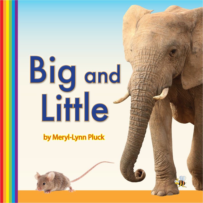 Big and Little book | Bee Series (word by word)