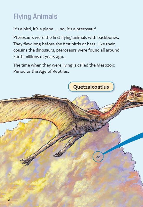 Pterosaurs book by Sally Stone