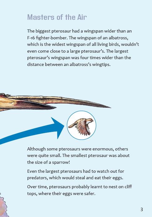 Pterosaurs book by Sally Stone