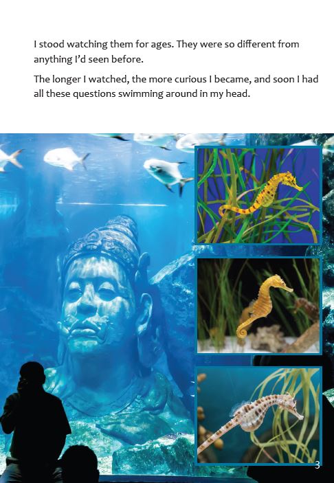 Seahorses book by Adrienne Frater